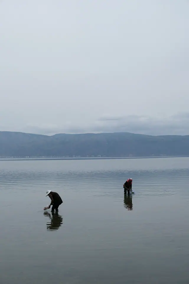Two figures standing in shallow water on the lake at dawn