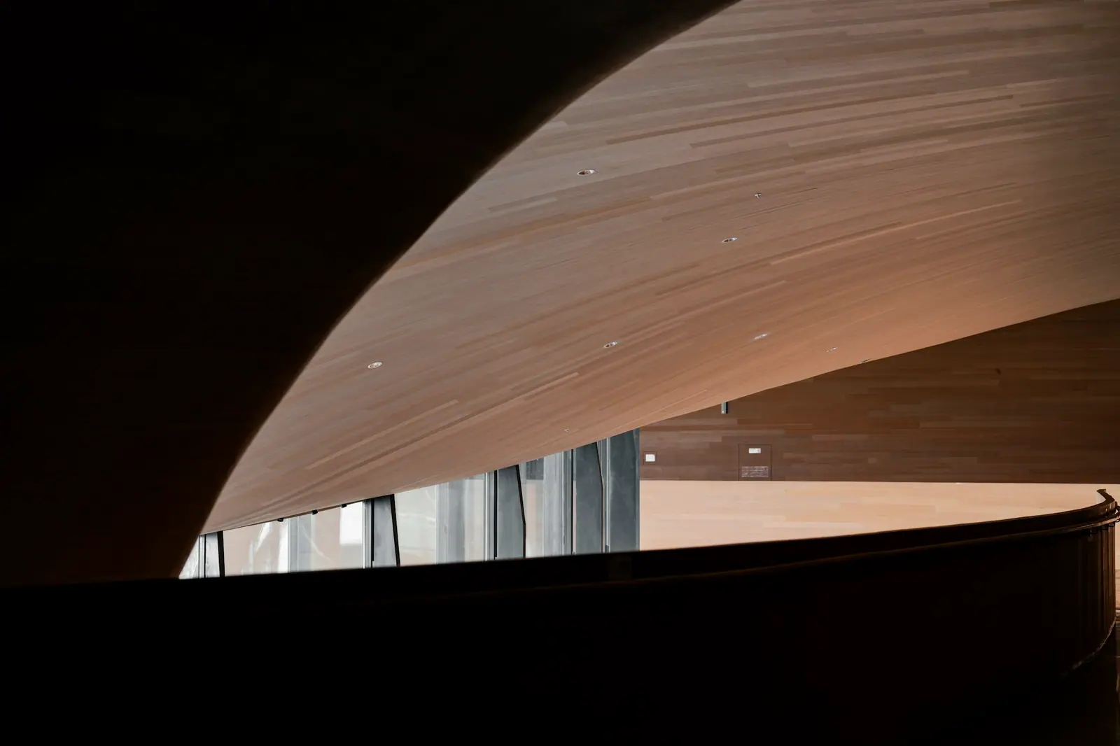 A dark curved timber ceiling above a railing in shadow