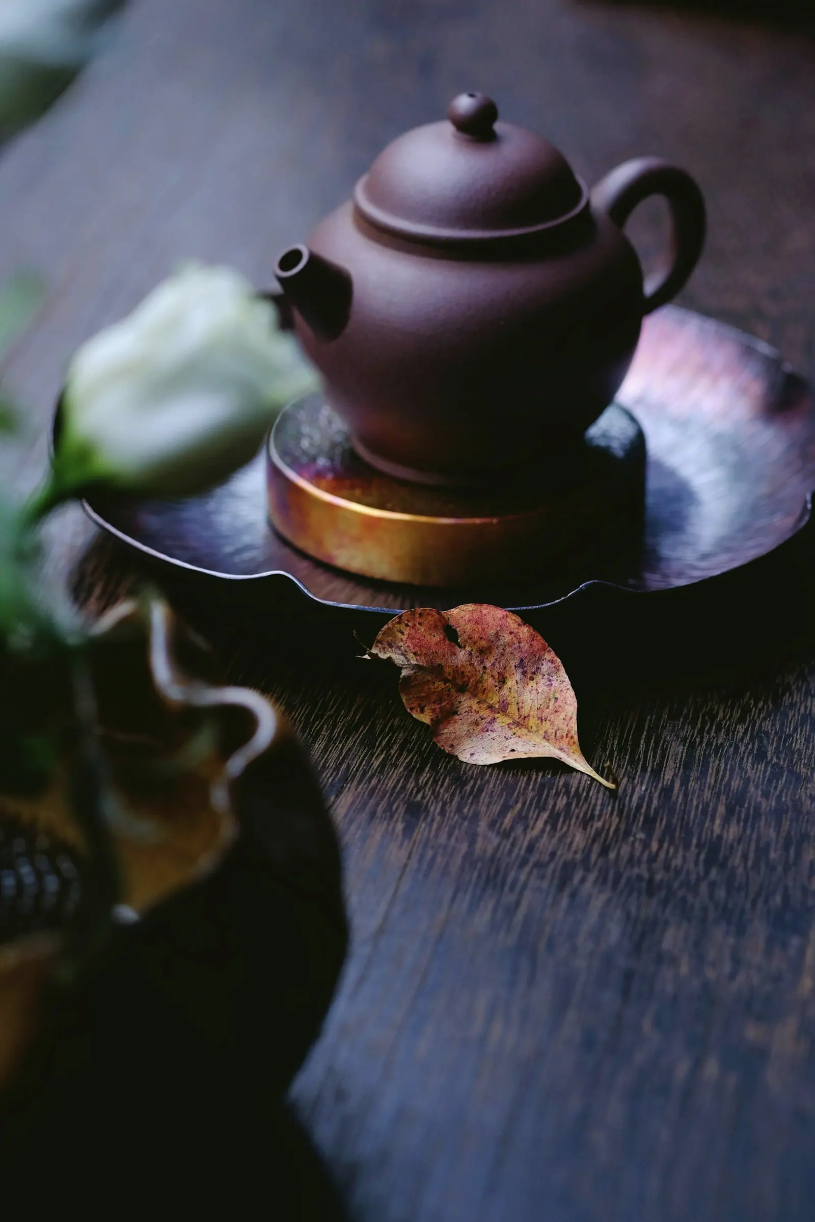 A clay teapot on a dark tray with a single leaf beside it